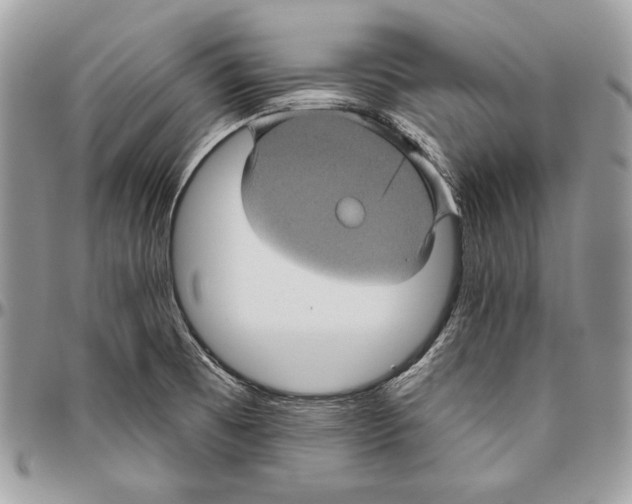 X0000094791473200712071216