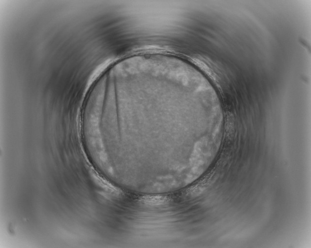 X0000094791474200712071216