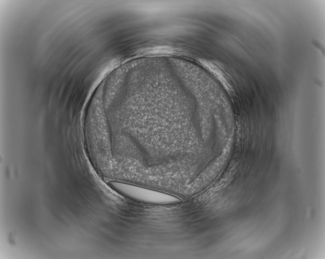 X0000094791475200712071216