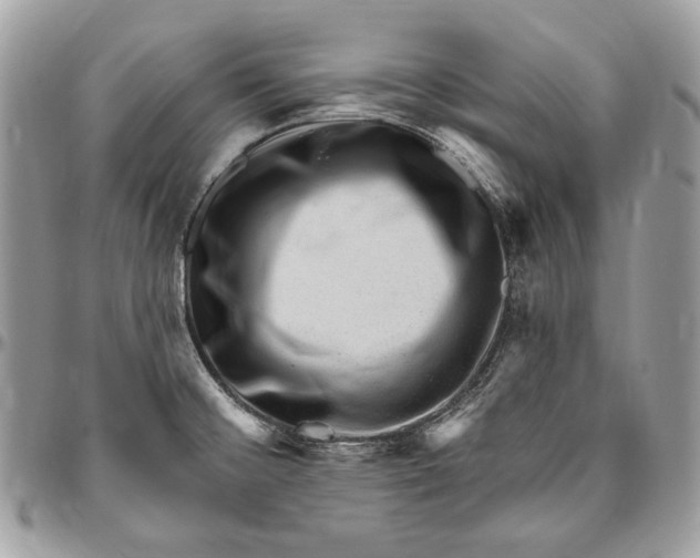 X0000094791476200712071216