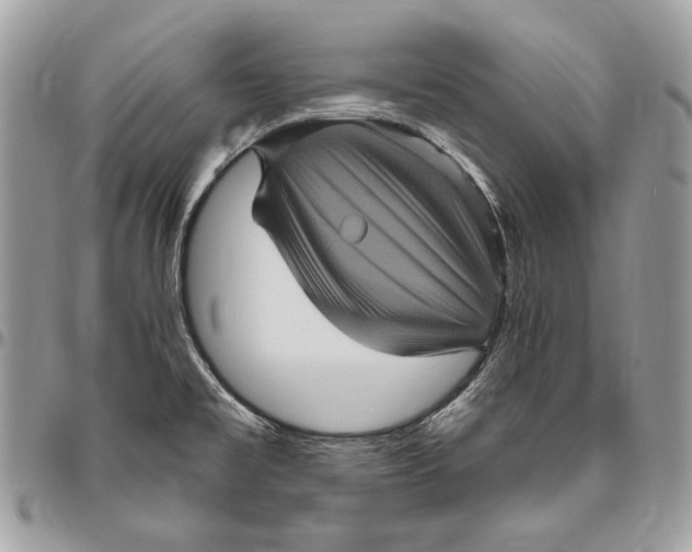 X0000094791477200712071216