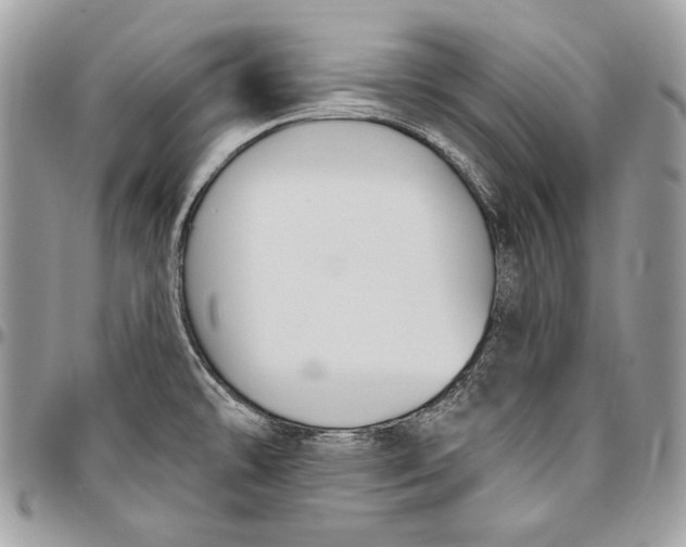 X0000094791478200712071216