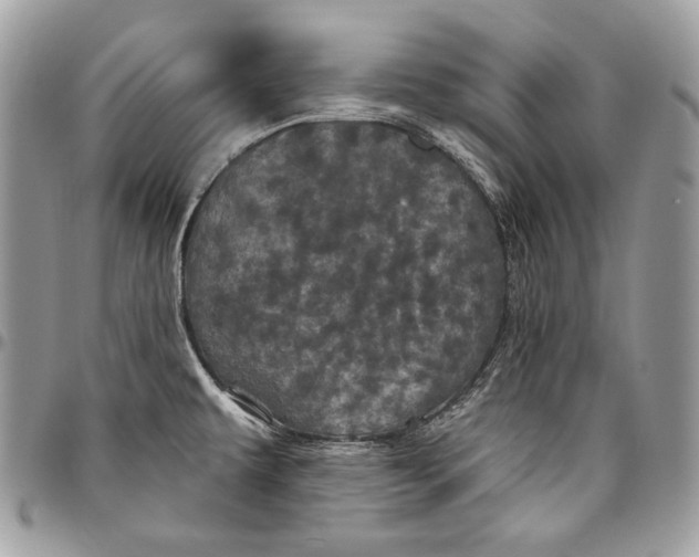 X0000094791479200712071216