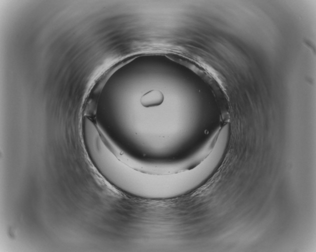 X0000094791480200712071216