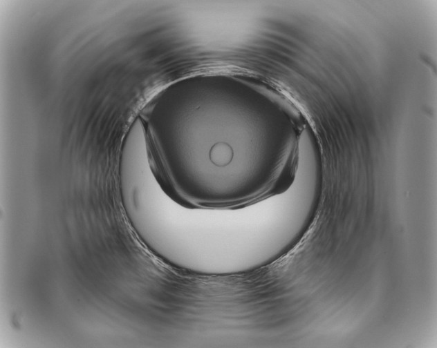 X0000094791481200712071216