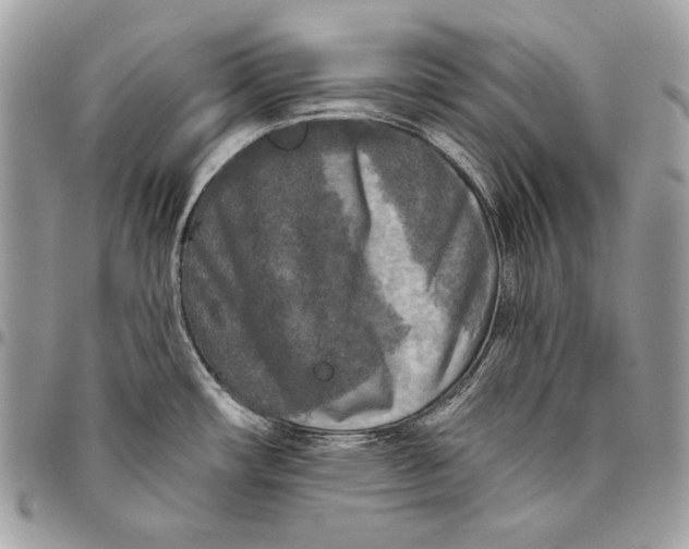 X0000094791482200712071216