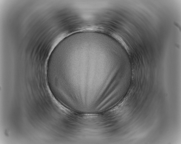 X0000094791483200712071216