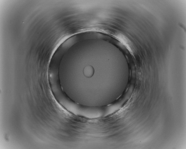 X0000094791484200712071216