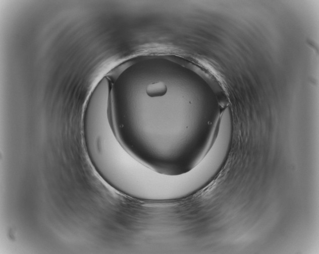 X0000094791487200712071216