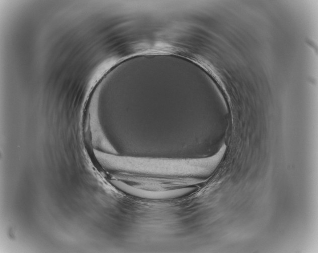 X0000094791488200712071216