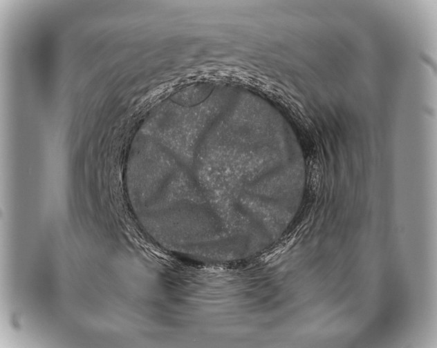 X0000094791489200712071215