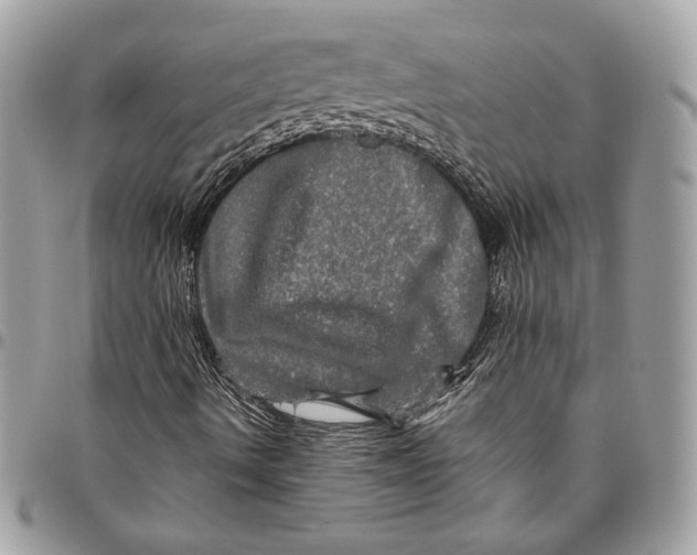 X0000094791490200712071215