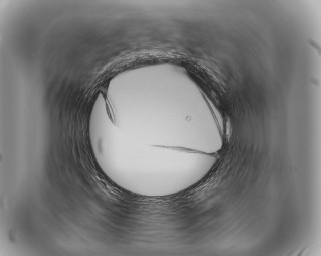 X0000094791492200712071215