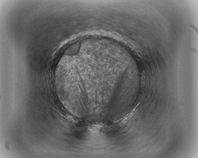 X0000094791494200712071215