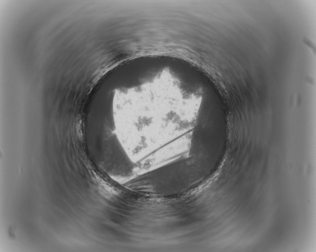 X0000094791497200712071215