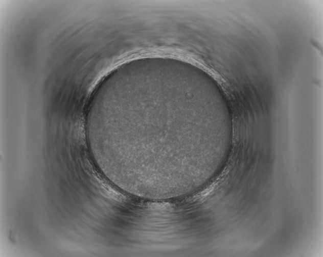 X0000094791498200712071215