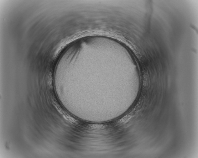 X0000094791499200712071215