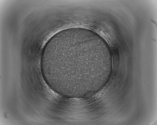 X0000094791500200712071215