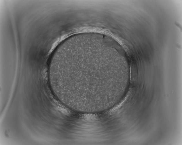 X0000094791501200712071215