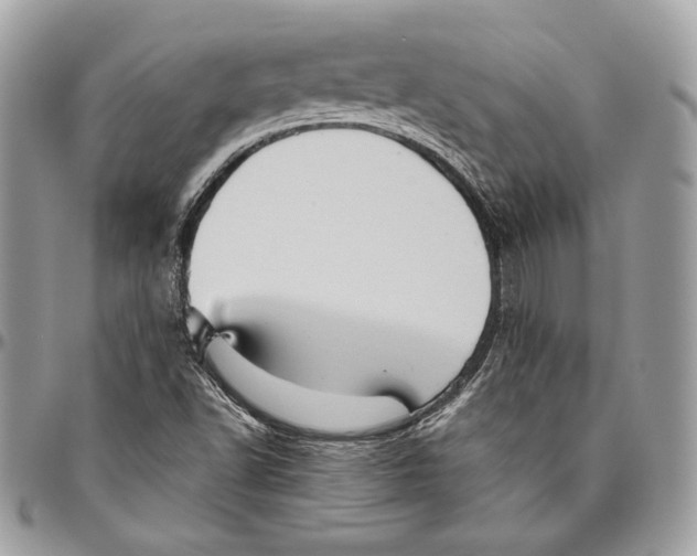 X0000094791502200712071215