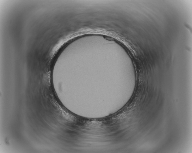 X0000094791503200712071215