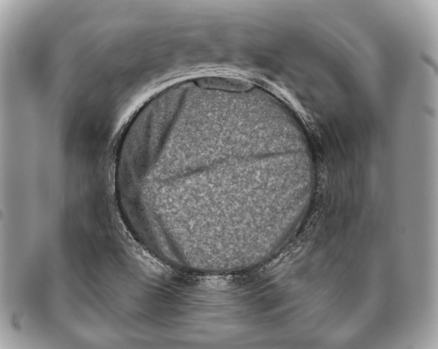 X0000094791504200712071215