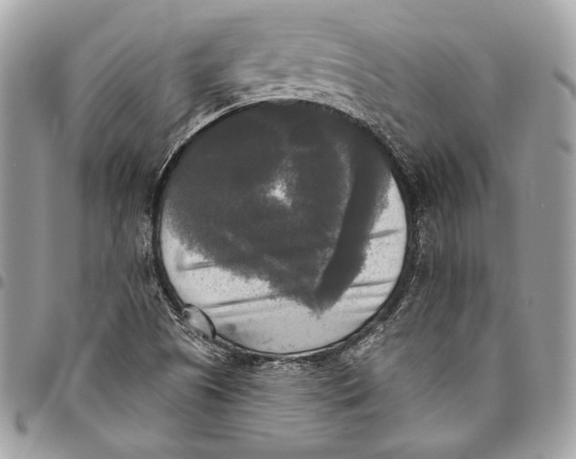 X0000094791505200712071216