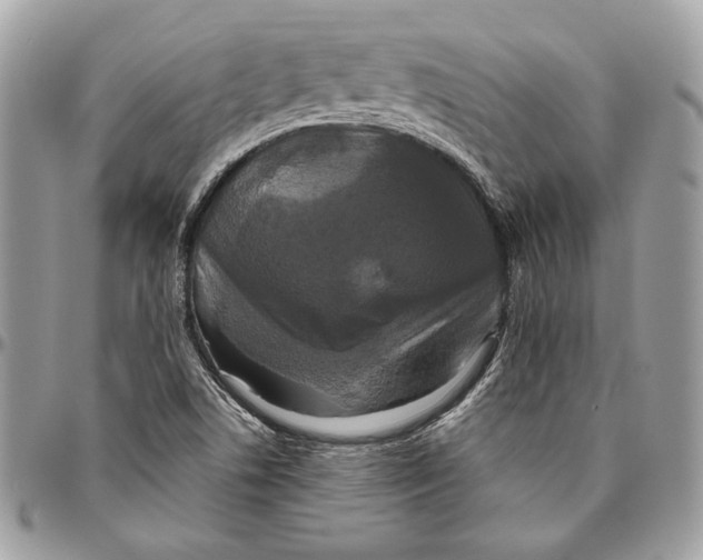 X0000094791506200712071216