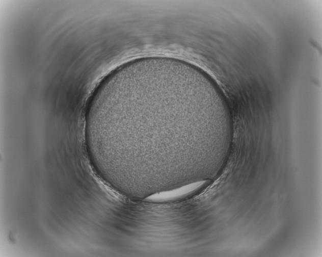 X0000094791507200712071216