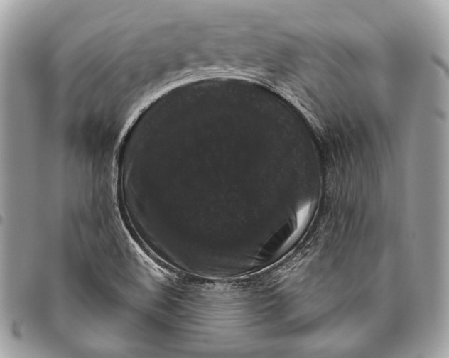 X0000094791508200712071216