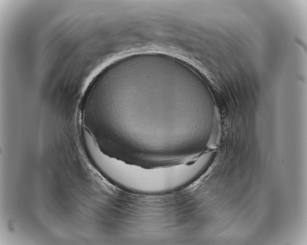 X0000094791510200712071216