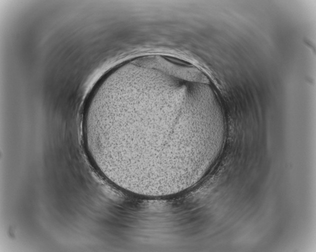 X0000094791511200712071216