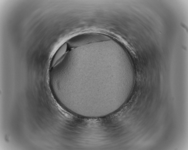 X0000094791512200712071216