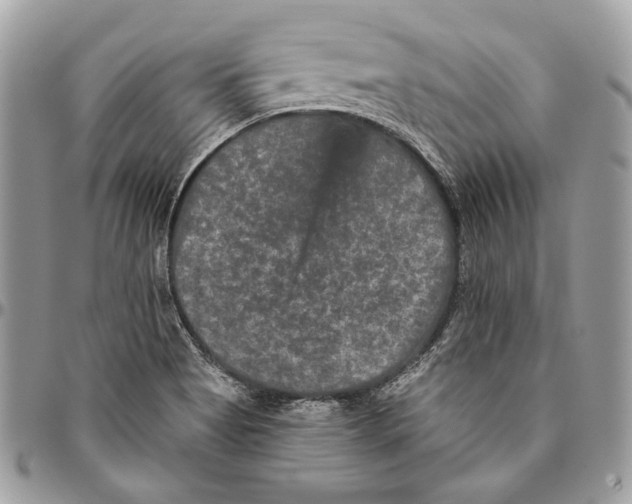 X0000094791513200712071216