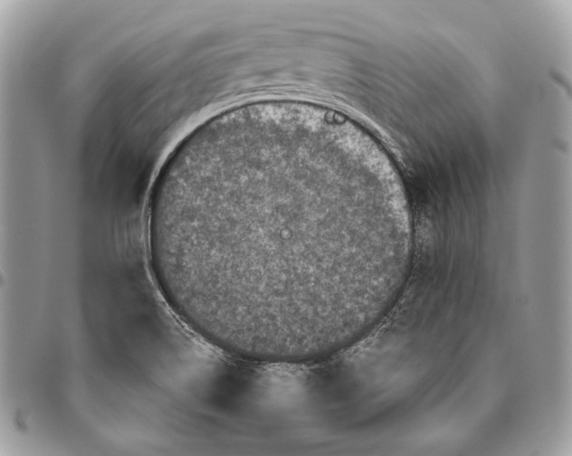 X0000094791514200712071216