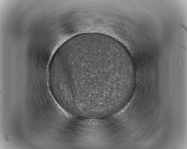 X0000094791517200712071216