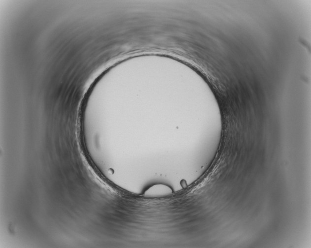 X0000094791518200712071216