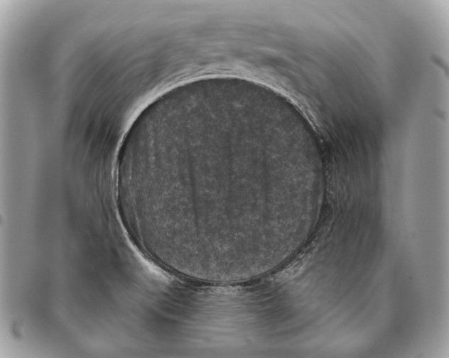 X0000094791519200712071216