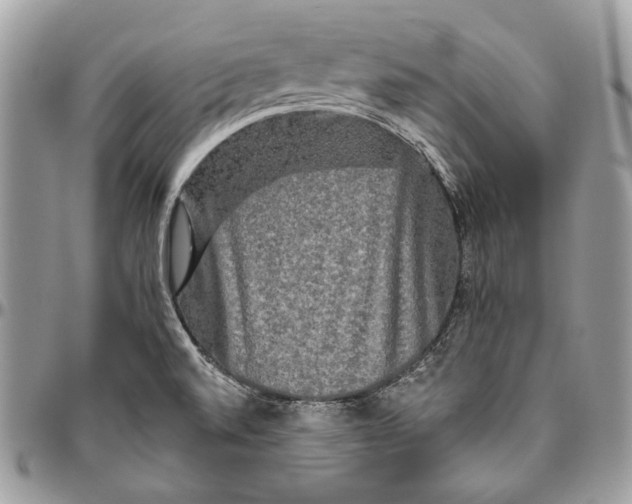 X0000094791520200712071216