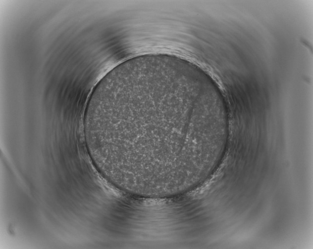 X0000094791521200712071216