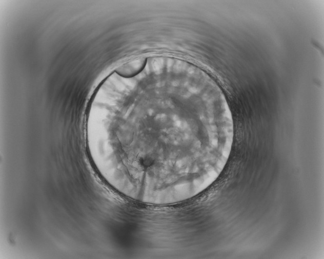 X0000094791522200712071216