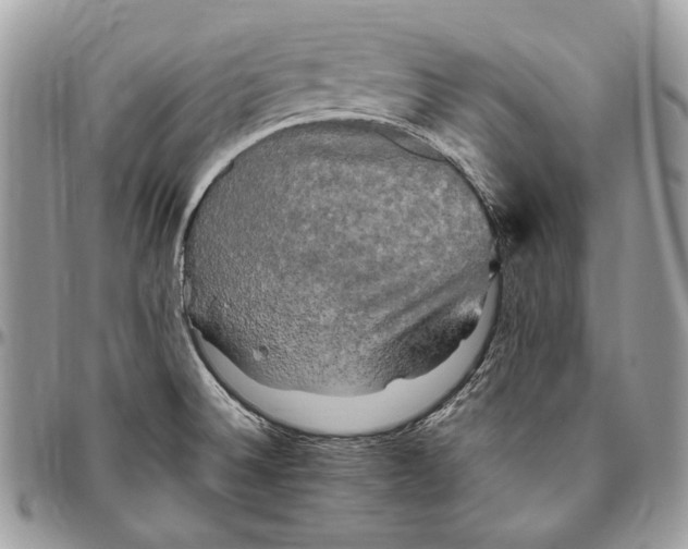 X0000094791524200712071216