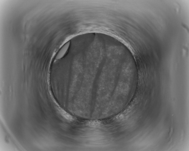 X0000094791525200712071216