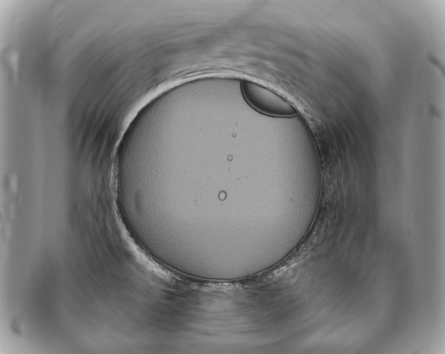 X0000094791526200712071216