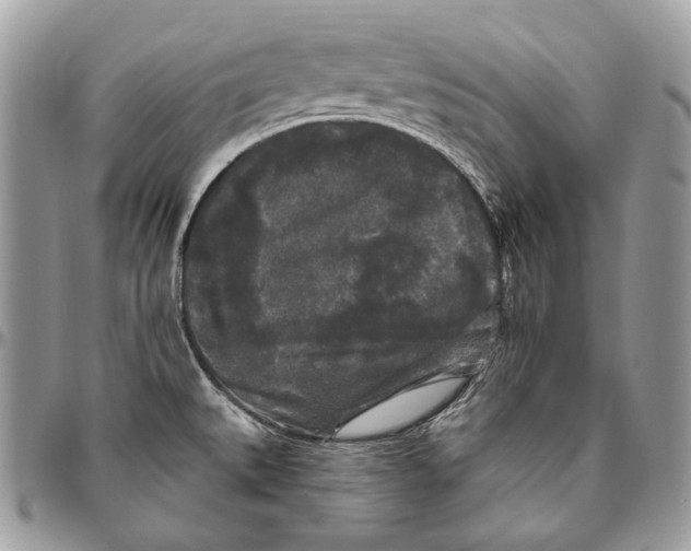 X0000094791527200712071216