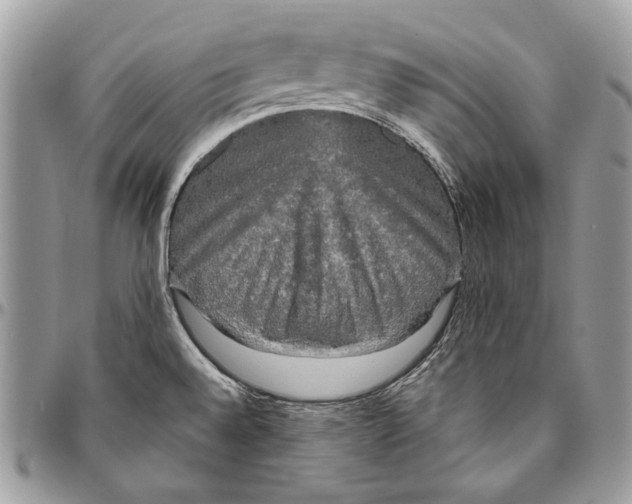 X0000094791528200712071216