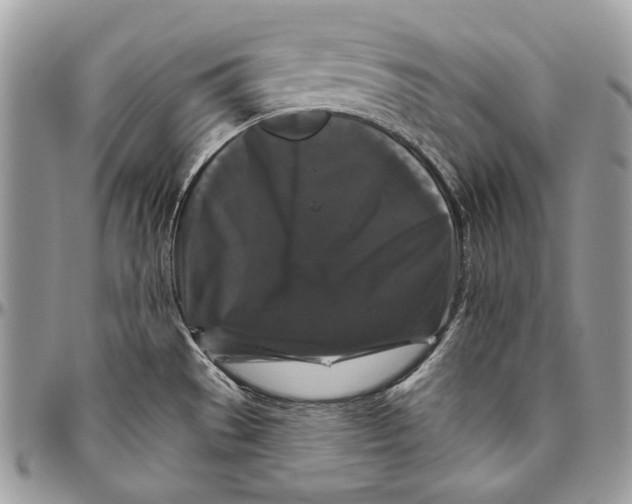 X0000094791529200712071216