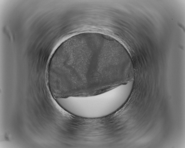 X0000094791531200712071216