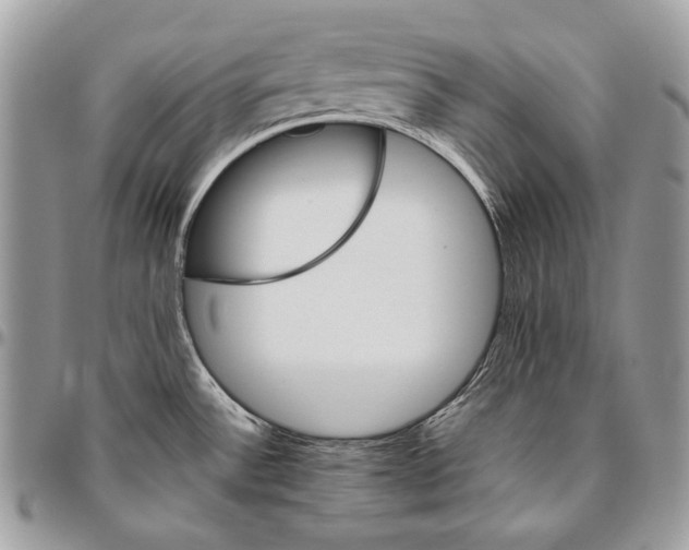 X0000094791532200712071216