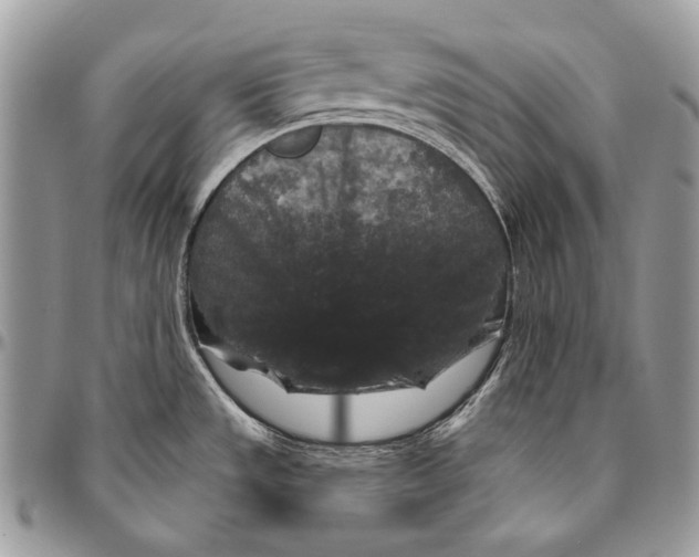 X0000094791533200712071216